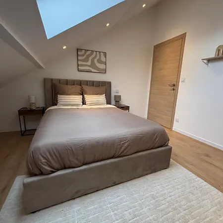 Magnifique T3 Standing Avec Jacuzzi En Supplement Parking Privee