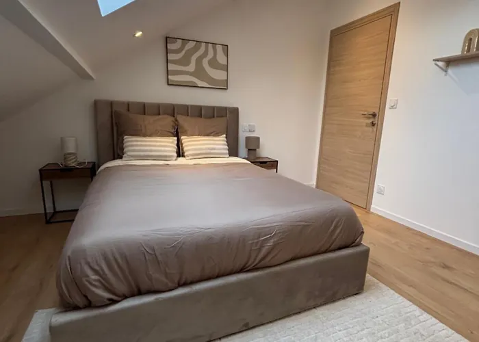 Magnifique T3 Standing Avec Jacuzzi En Supplement Parking Privee